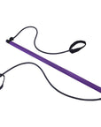Chest Expander Puller