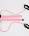Chest Expander Puller