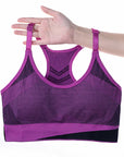 Women Breathable Sports Bra Absorb Sweat Shockproof Padded Gym Running Fitness Double Layer Seamless Yoga Sports Bra Underwear